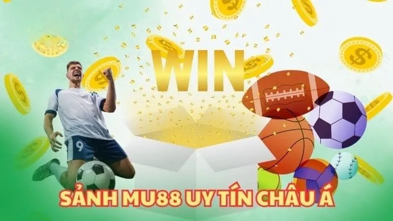 Website thể thao Mu88 có giấy phép hoạt động